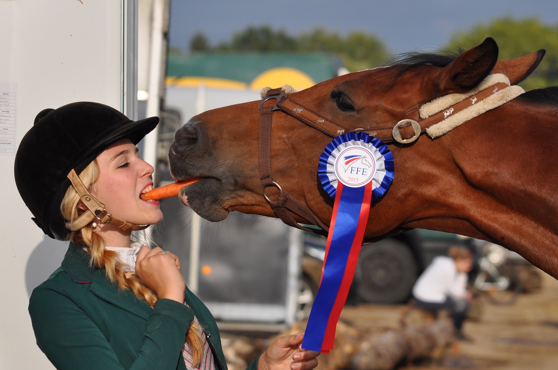 horse-934534_1920